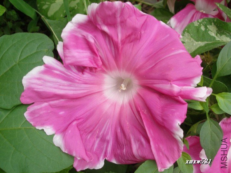 ֱ������15����