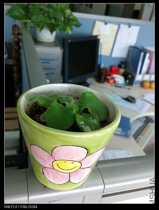 09��5�µ�С��