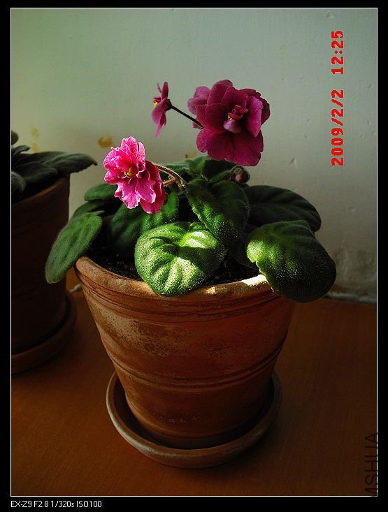 ������õ��ɫ