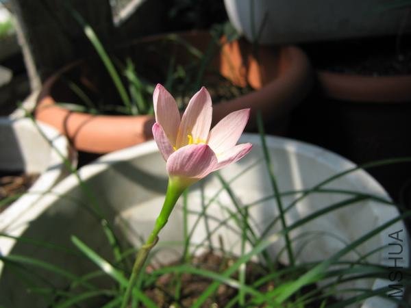20090605_6d3c84644f8ad66131b71gjL0Xuu5jo0.jpg
