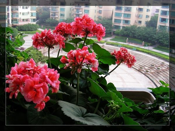 nEO_IMG_S10 927.jpg