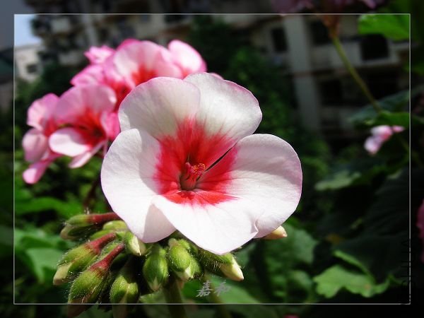 nEO_IMG_S10 1075.jpg