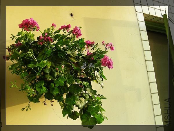 nEO_IMG_S10 1247.jpg