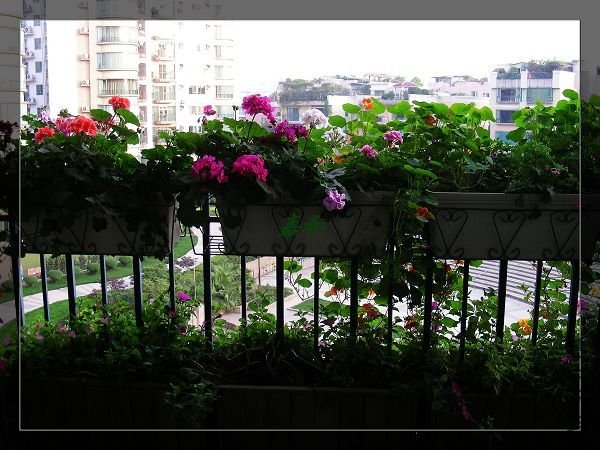 nEO_IMG_S10 1243.jpg