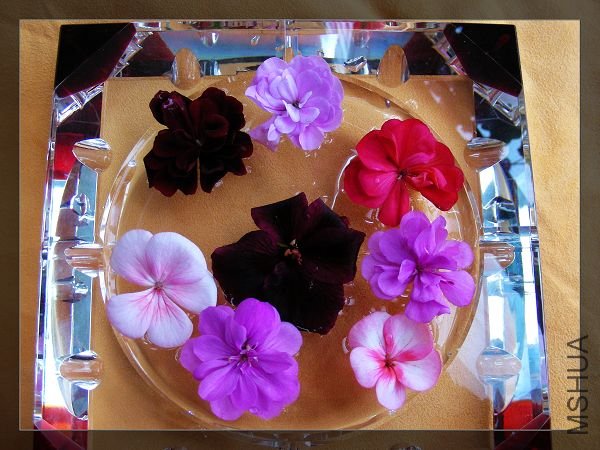 nEO_IMG_S10 1965.jpg