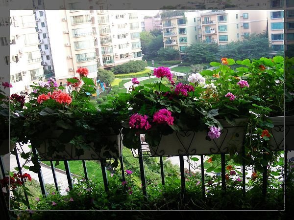 nEO_IMG_S10 1242.jpg