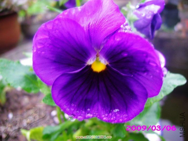 IMG_4345_nEO_IMG.jpg