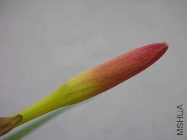 ����ǰһ��