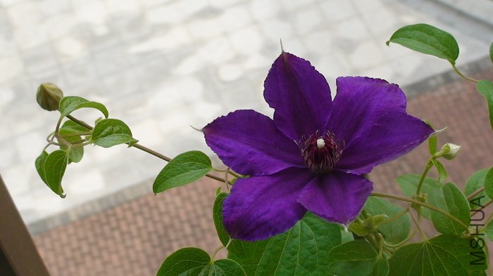 ����ٿ���6-23�յĿ�����д����