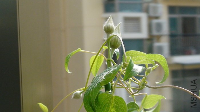 6-19�յ����Ȼ�����