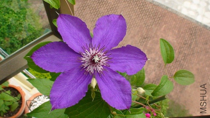 6-25�գ������ô�Щ�ˣ�