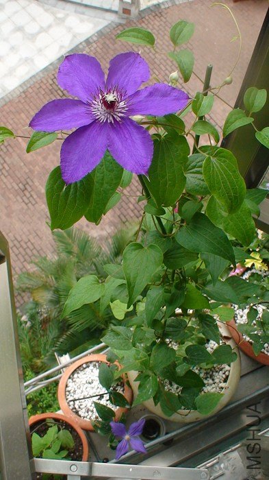 ��������ȫ���գ����½��Ƕ������Ա��£����ȵĻ�����ɣ�