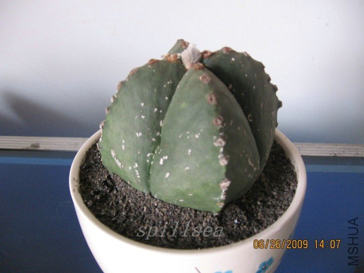 �1
