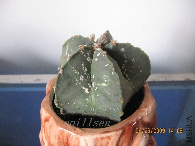 �2