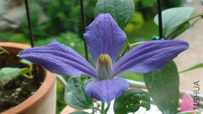 6-25�գ��Ѿ�չ���ˣ�����дһ�£�