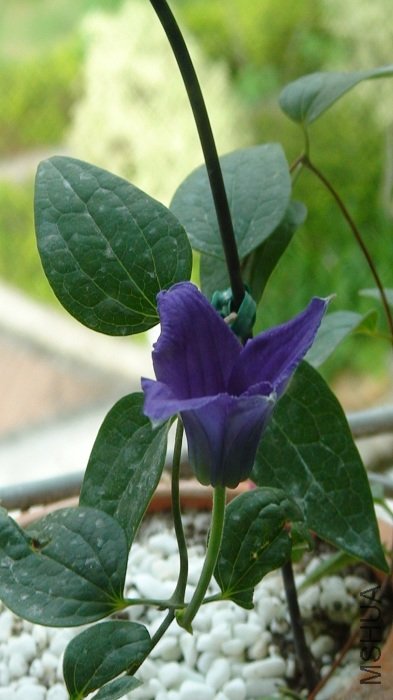 ��-23�գ������������ȣ����Ǹտ�ʱ�����ӣ�