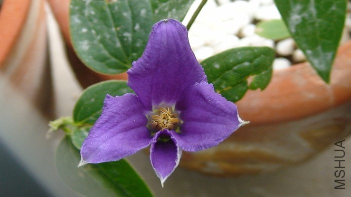 ���Ǹտ�ʱ����д��