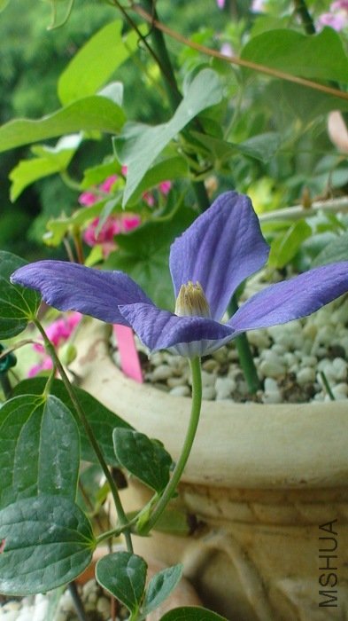 ����һ�£�