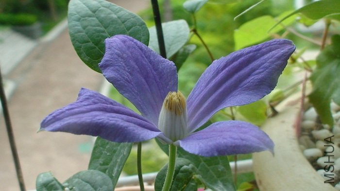 ��һ�Ƕȿ�����