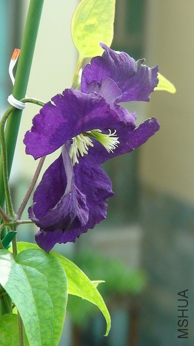 ����дһ�£�