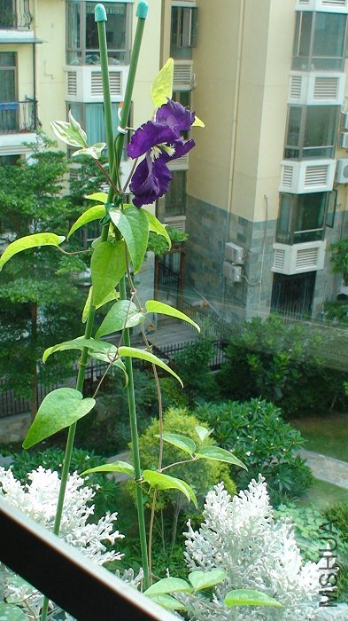 ����ȫ���գ������Ѿ����Ǻ�����������ˣ�