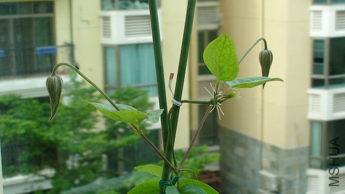 6-23�գ� �����ٻ����µ����������ֳ����ˣ�