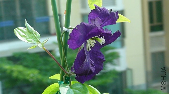 6-19�գ����ǿ����ڶ���������٣�