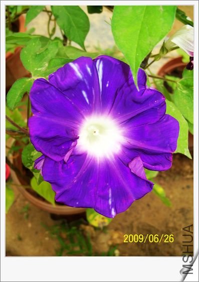 ���տ��� 025.jpg