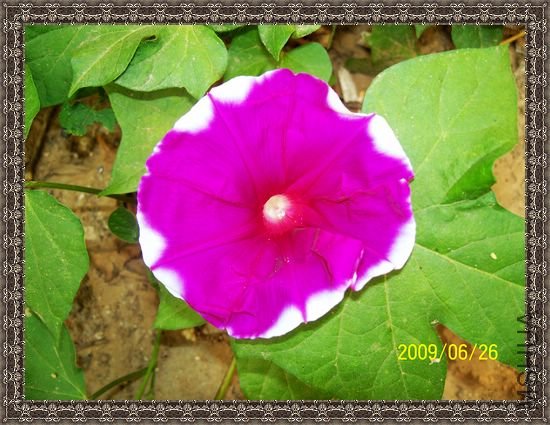 ���տ��� 038.jpg