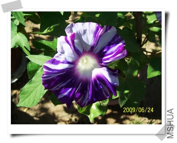 ���տ��� 001.jpg