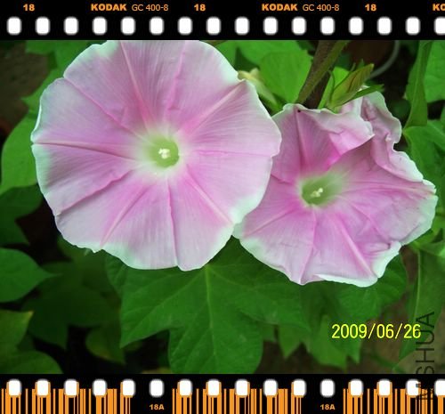 ���տ��� 019.jpg