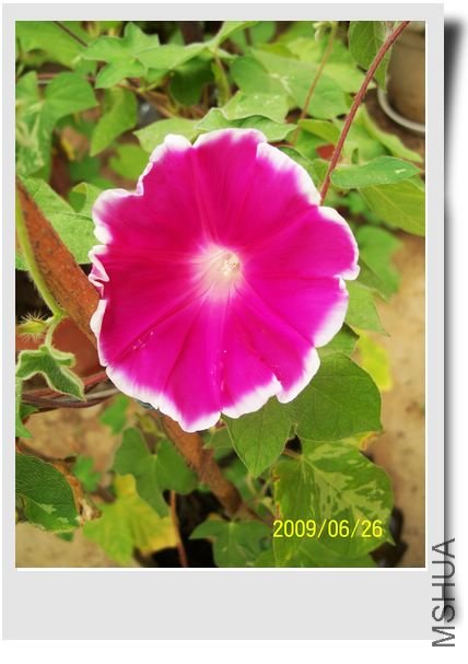 ���տ��� 033.jpg