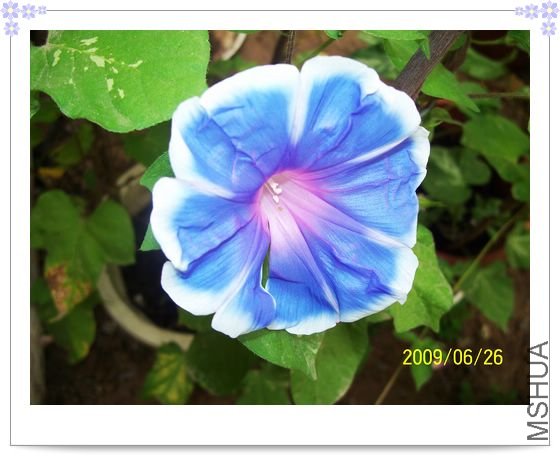 ���տ��� 028.jpg