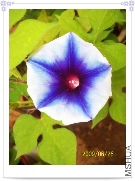 ���տ��� 021.jpg