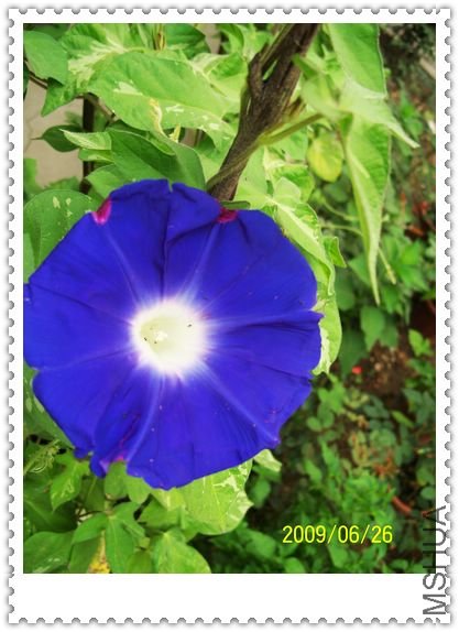 ���տ��� 037.jpg