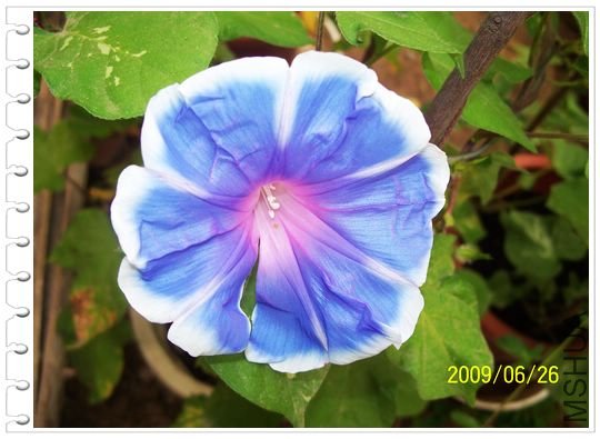 ���տ��� 029.jpg