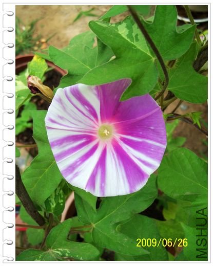 ���տ��� 024.jpg