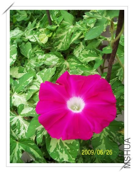 ���տ��� 018.jpg