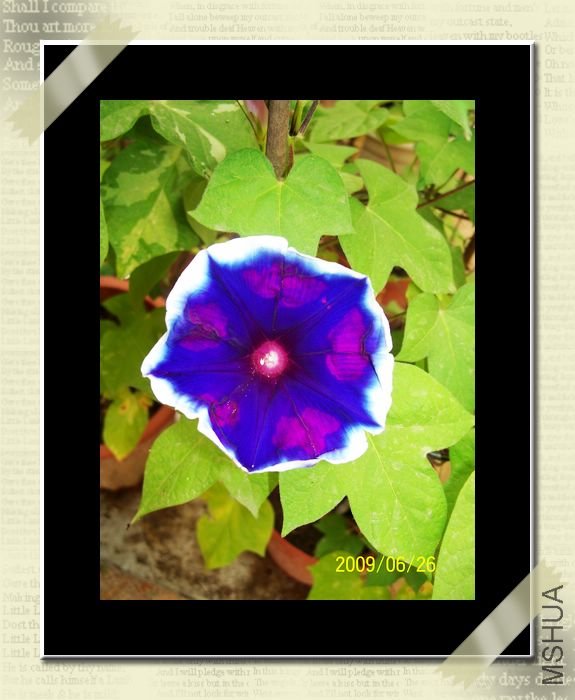 ���տ��� 030.jpg