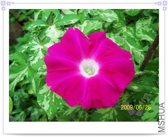 ���տ��� 016.jpg