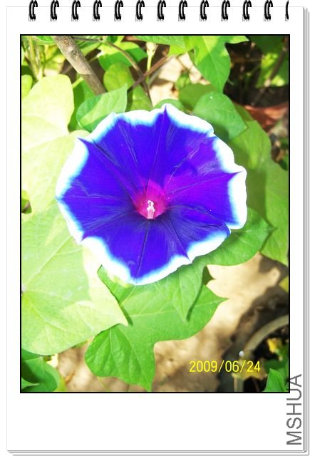 ���տ��� 003.jpg