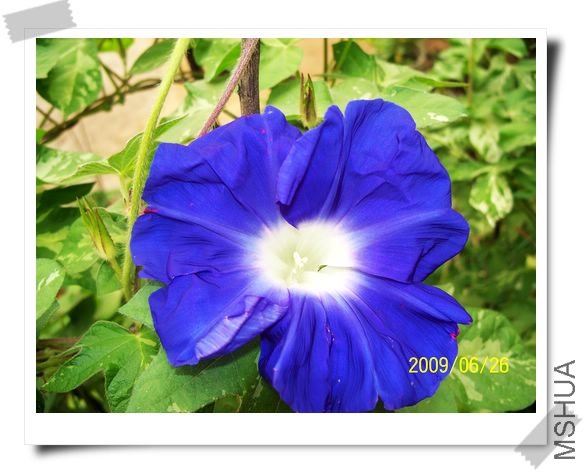 ���տ��� 015.jpg