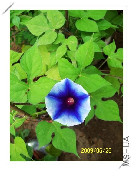 ���տ��� 036.jpg