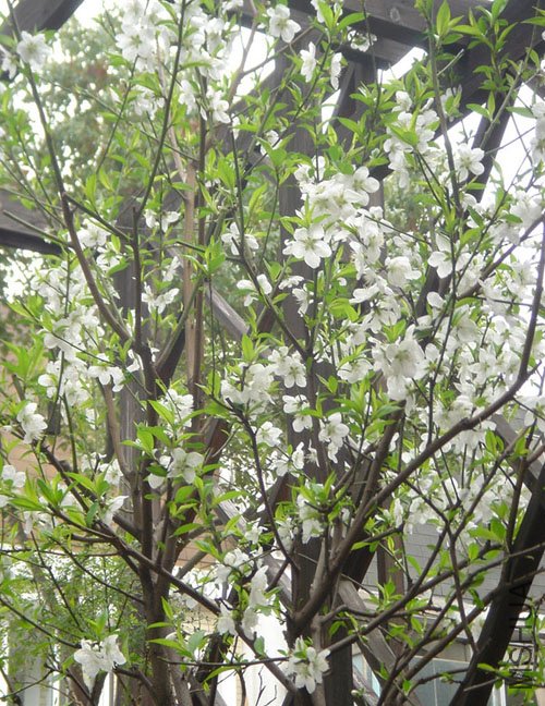 ������ҵı��ң�����������ʱ���������˵�������棬��㱻�����ˡ������ǵ������ˣ������������ҿ��ˡ��� ...