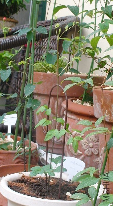 3-27�գ�ʮ��������.���úܿ�ɣ�