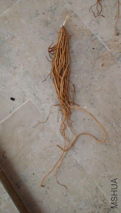 3-16�յ��ģ���������, ���ܳ��ܳ�!