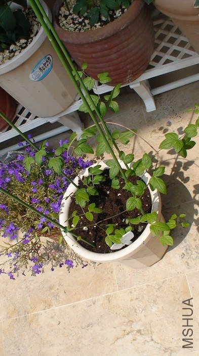 4-9�գ��Ѿ����˰�Ȧ�ˣ�