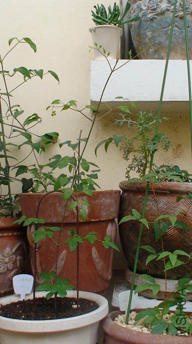 3-30�գ�������С֧���Ѿ����Բ������ˣ�Ҫ���ˣ�