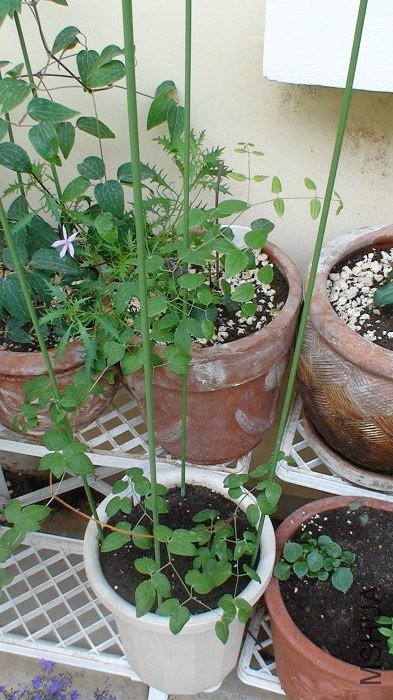 4-29�գ����濴�����Ѿ��ø��˰���[