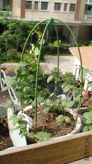 5-11�գ����Ǿ����ĸ�����̫�߲��ÿ����ָ������˸�����ס���ְ����̵���һЩ�����ºÿ����ˣ������������� ...